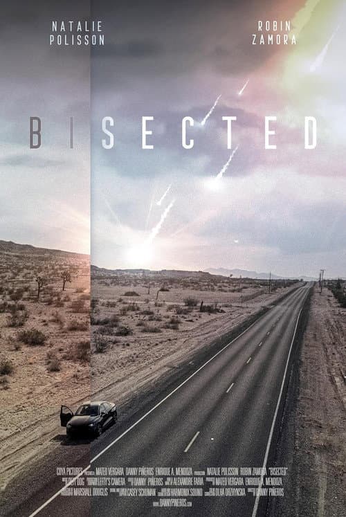 Bisected (2023) poster