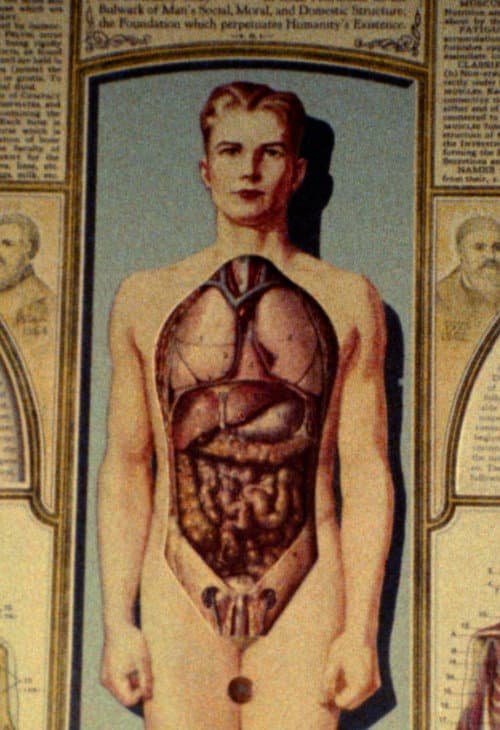 Natural History (1989) poster