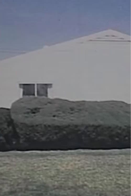 Homogeneity (1998) poster