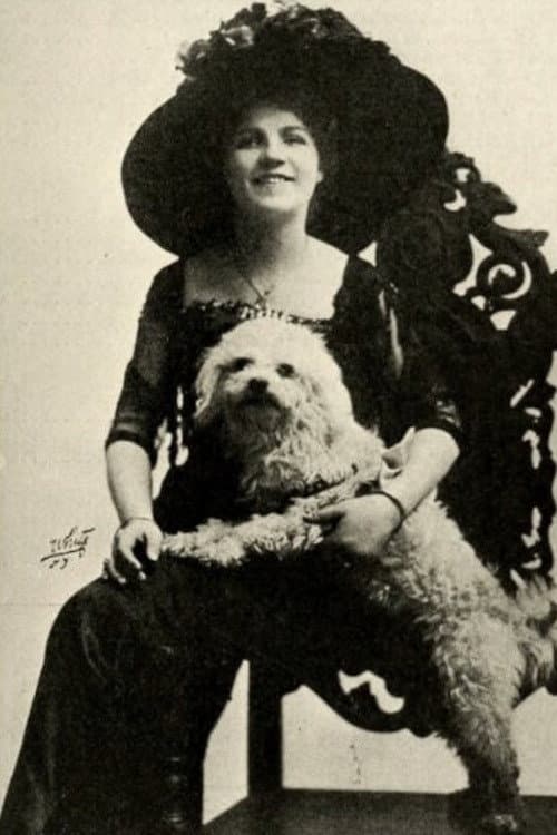 The Rose's Story (1911) poster