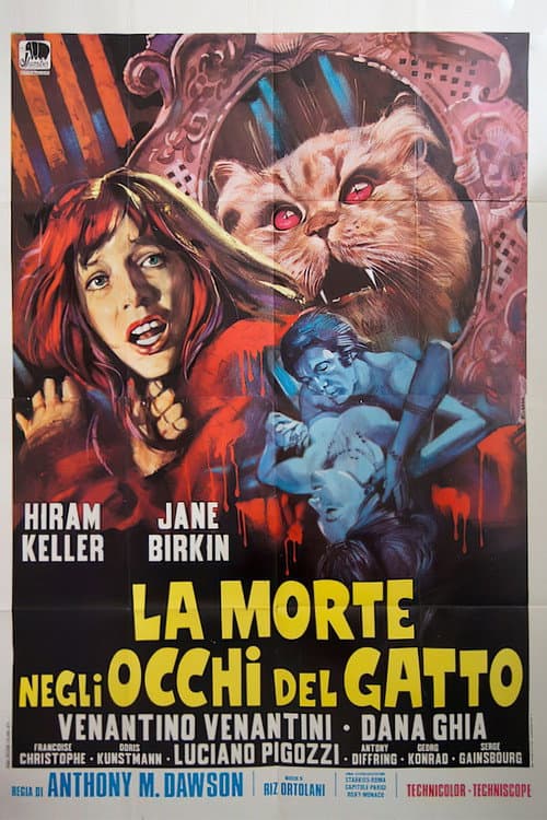 La morte negli occhi del gatto (1973) poster