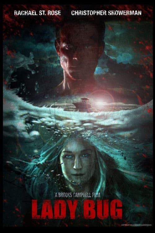 Lady Bug (2017) poster
