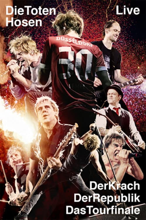 Die Toten Hosen Live - Der Krach der Republik - Das Tourfinale (2014) poster