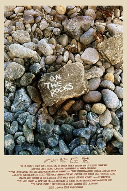 On the Rocks (2023) poster