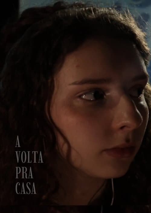A volta pra casa (2026) poster