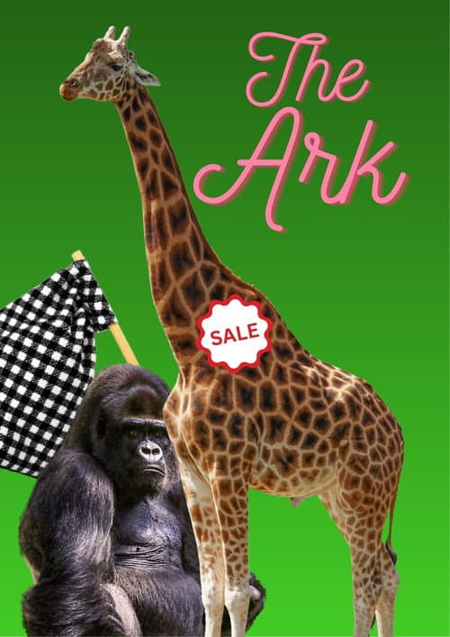 The Ark (1993) poster