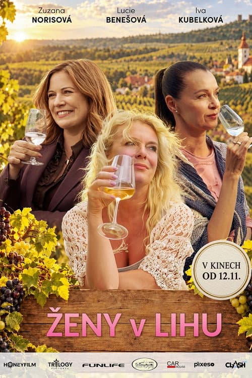 Ženy v lihu (2026) poster