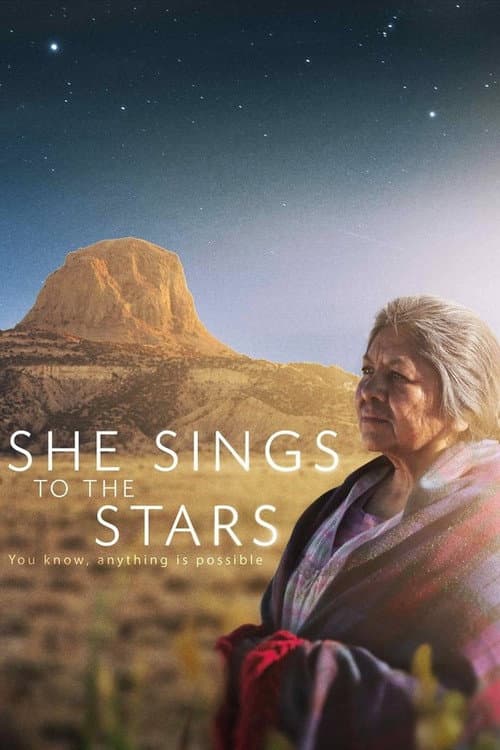 She Sings to the Stars (2014) poster