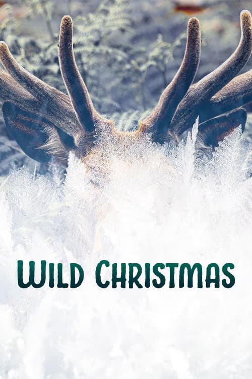Wild Christmas (2020) poster