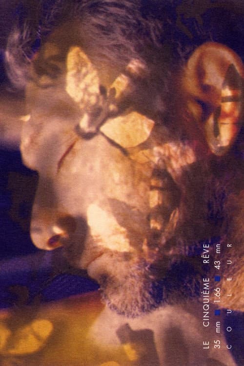 Le Cinquième Rêve (1994) poster