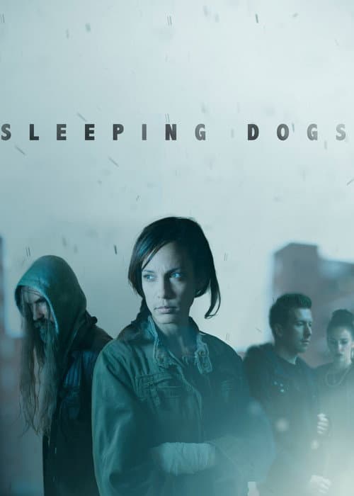 Sleeping Dogs (2013) poster