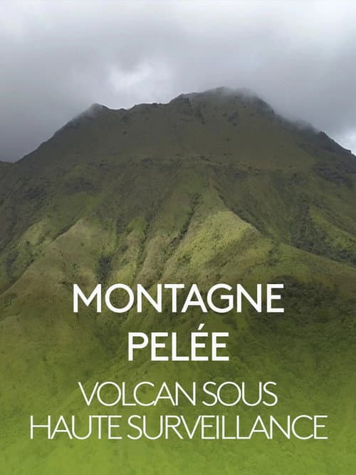 Montagne Pelée, volcan sous haute surveillance (2019) poster