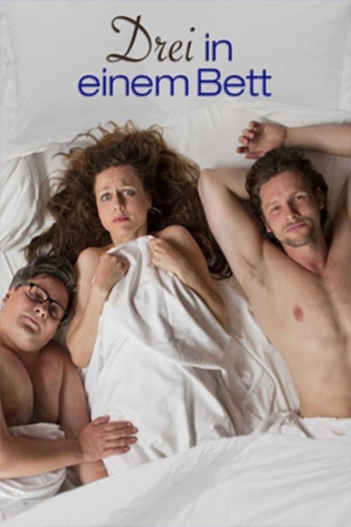 Drei in einem Bett (2013) poster