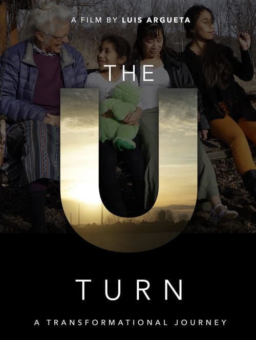 The U Turn (2016) poster