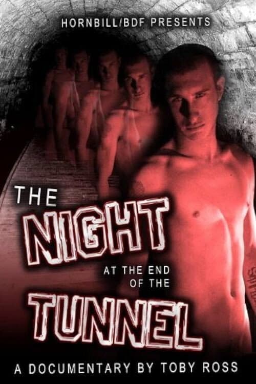 The Night at the End of the Tunnel (2011) poster