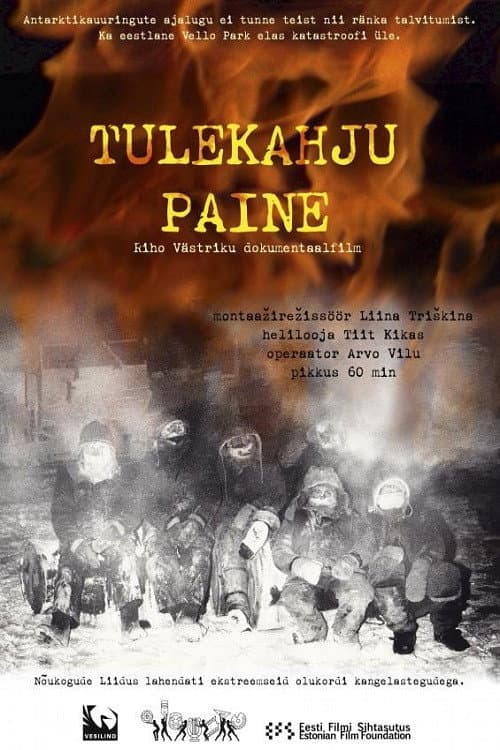 Tulekahju paine (2013) poster