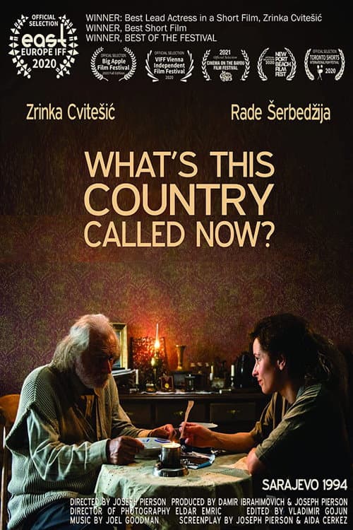 What's This Country Called Now? (2020) poster