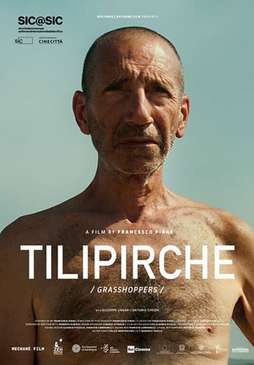Tilipirche (2023) poster
