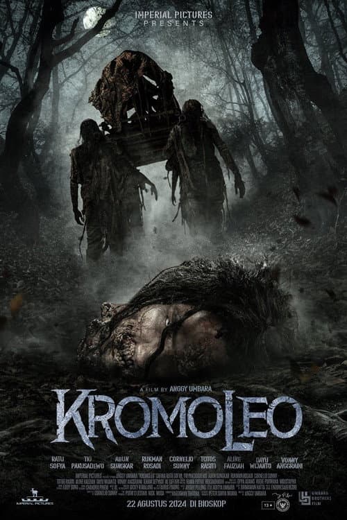 Kromoleo: The Haunting (2024) poster