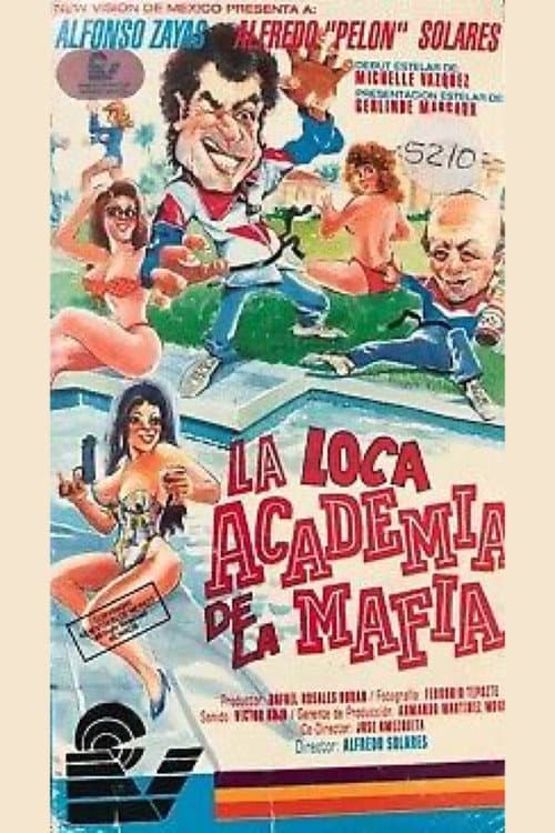La loca academia de la mafia (1993) poster