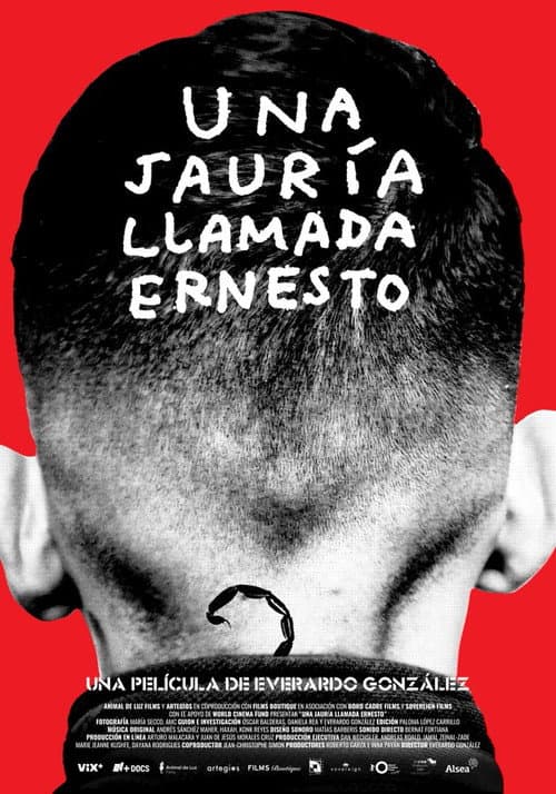 Una jauría llamada Ernesto (2024) poster