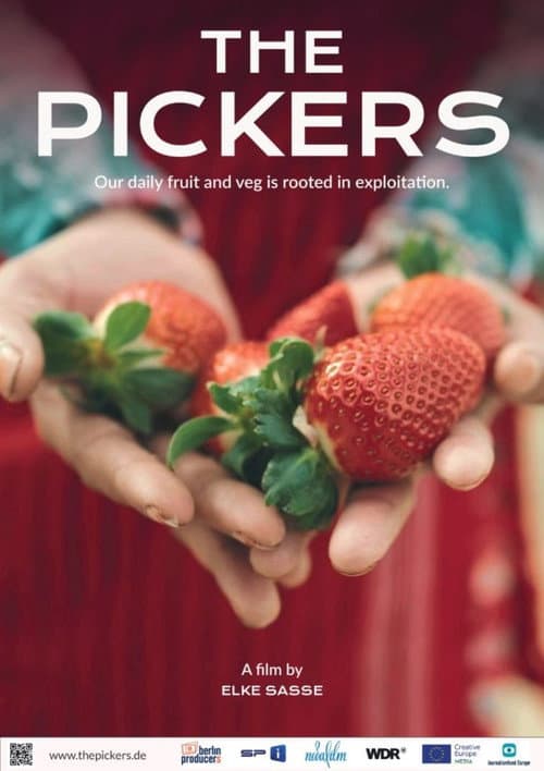 The Pickers (2026) poster