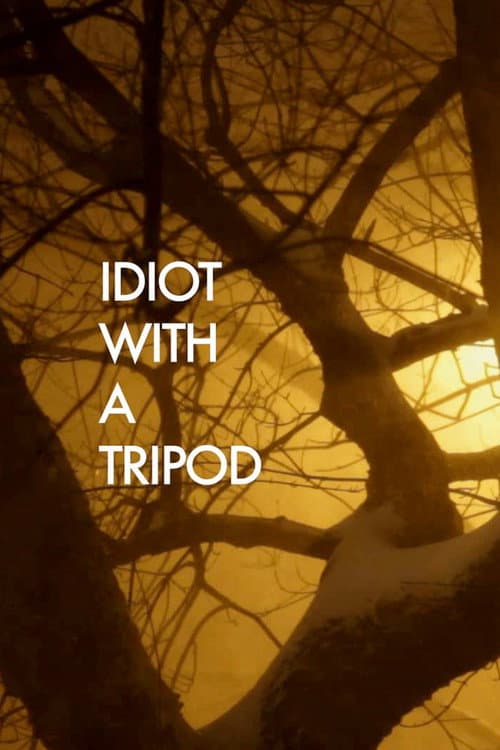 Idiot with a Tripod (2010) poster