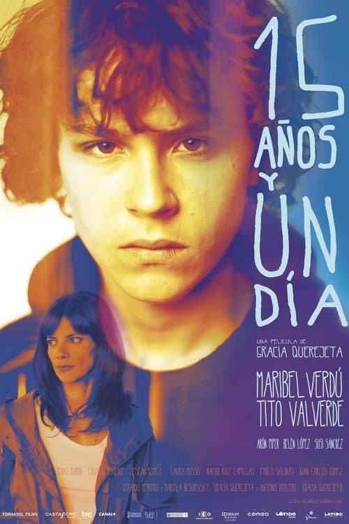 15 años y un día (2013) poster