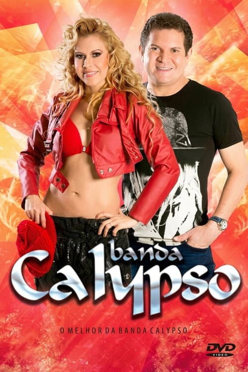O Melhor da Banda Calypso (2013) poster