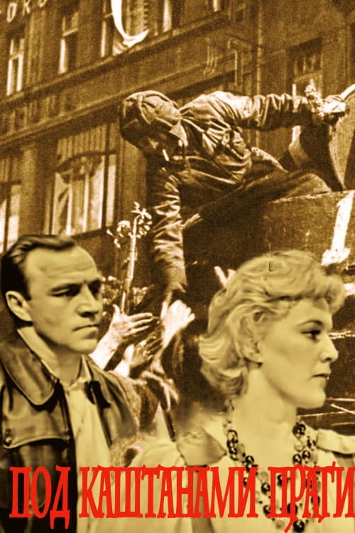 Под каштанами Праги (1965) poster