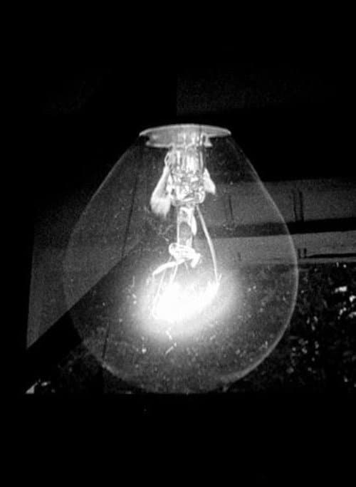 Window/Light (2013) poster