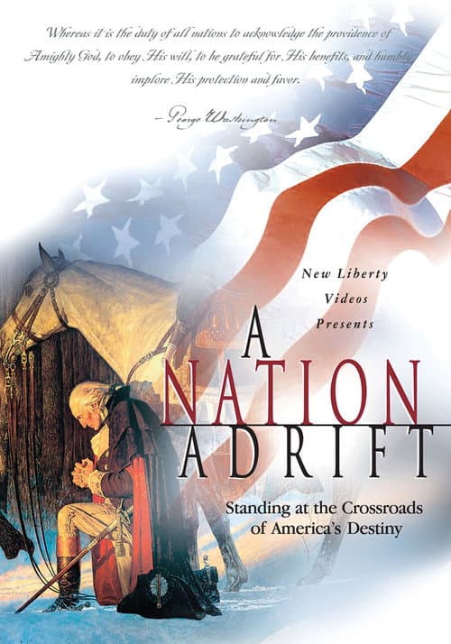 A Nation Adrift (1995) poster