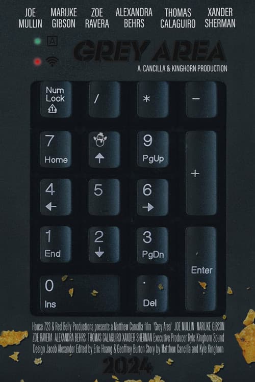 Grey Area (2025) poster