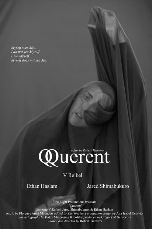 Querent (2021) poster