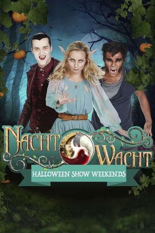 Nachtwacht: Plopsaland Parkshow (2018) poster