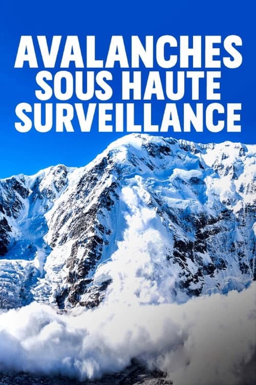 Lawinen – Die unterschätzte Gefahr (2019) poster