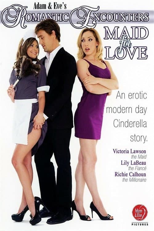 Romantic Encounters: Maid For Love (2012) poster