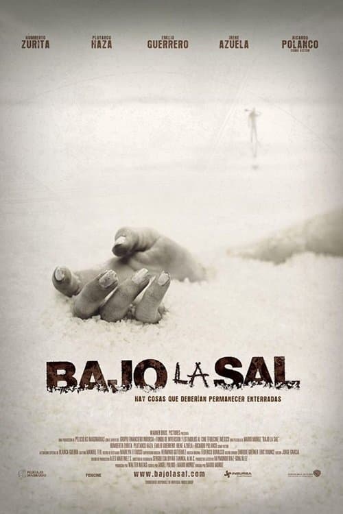 Bajo la Sal (2008) poster