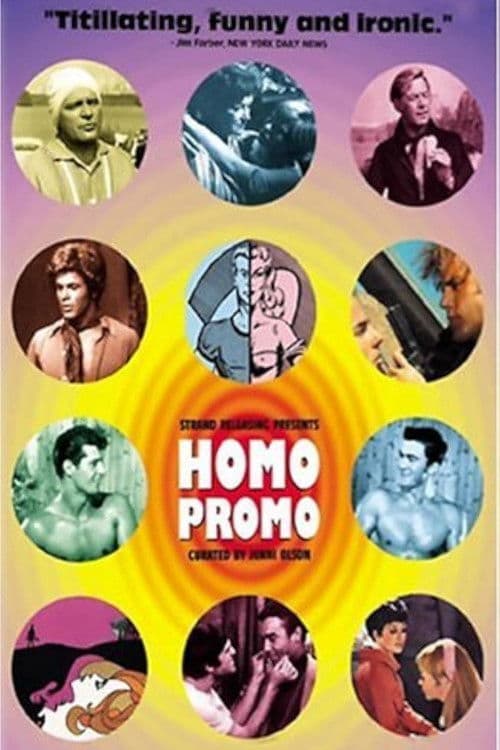 Homo Promo () poster