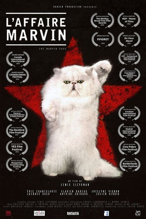 L'Affaire Marvin (2020) poster