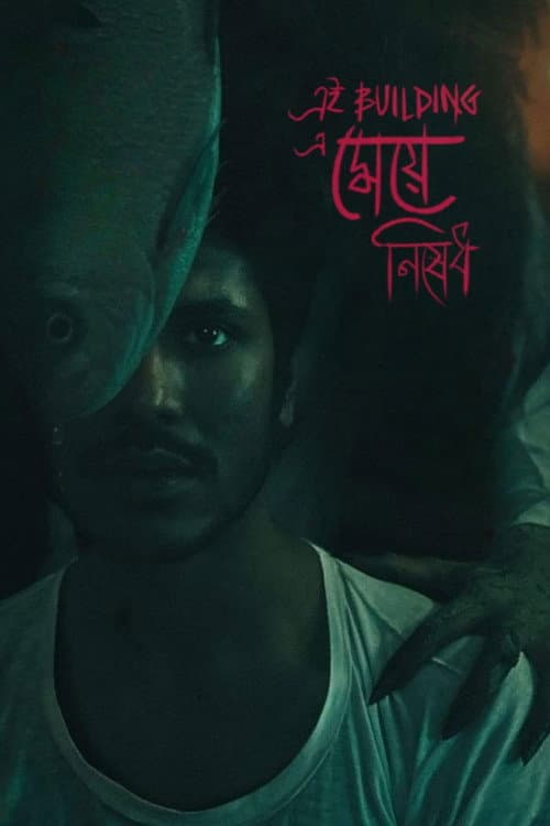 Ei Building a Meye Nished (2022) poster