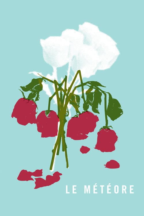 Le météore (2013) poster