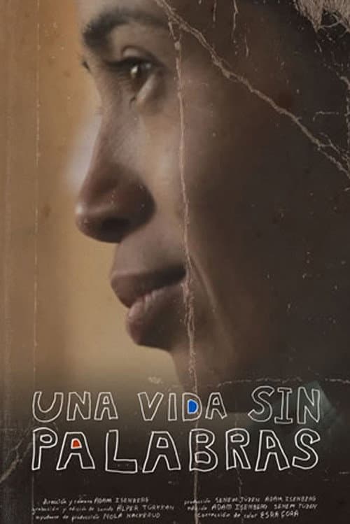 Una vida sin palabras (2011) poster