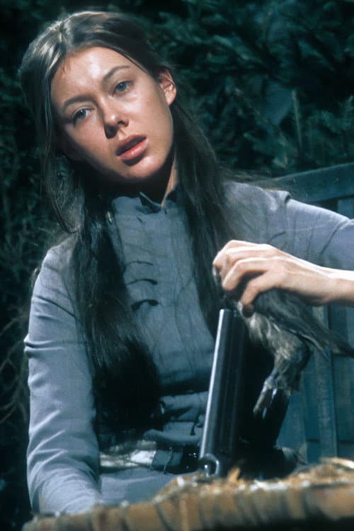 The Wild Duck (1971) poster