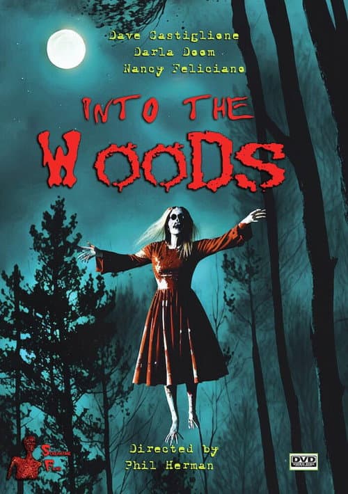 Into the Woods (2008) poster