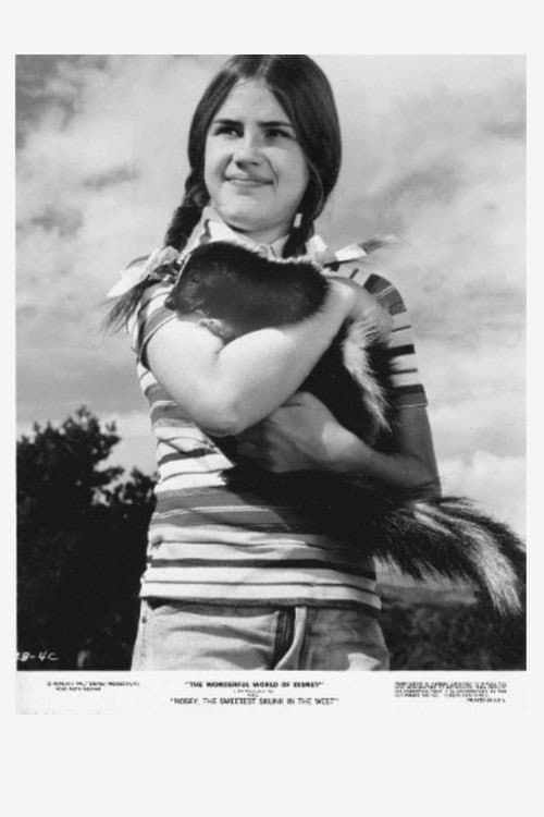 Nosey, the Sweetest Skunk in the West (1972) poster