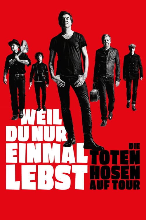 Weil du nur einmal lebst - Die Toten Hosen auf Tour (2019) poster