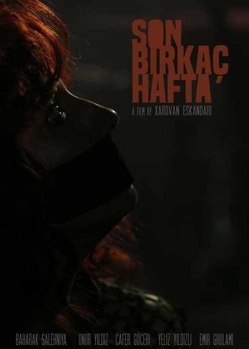 Son Birkaç Hafta (2018) poster
