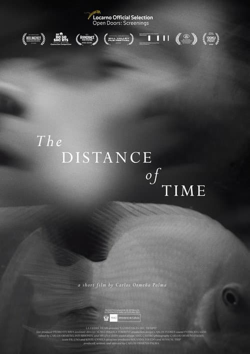 La distancia del tiempo (2021) poster