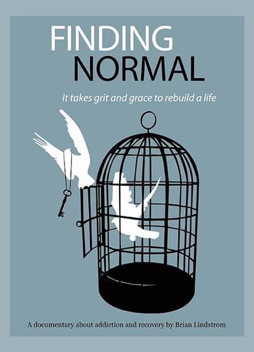 Finding Normal (2007) poster